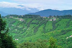 Nayabasti - Lesser-known place in Darjeeling