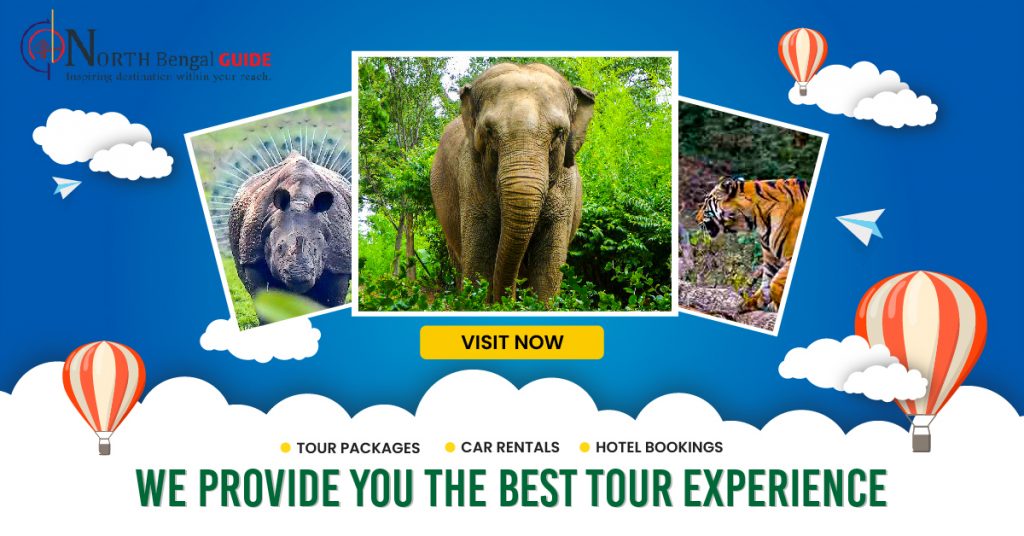 North Bengal Guide