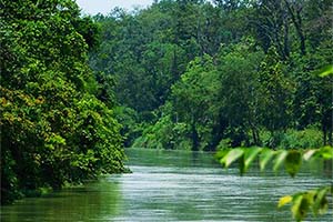 Odlabari - Peaceful escape in Dooars