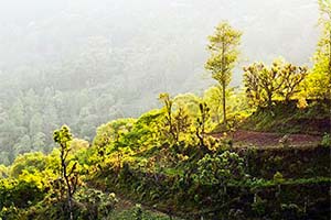 Rinchenpong - Hidden retreat in Sikkim