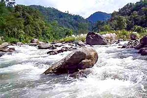Rishikhola - Untouched destination in Darjeeling