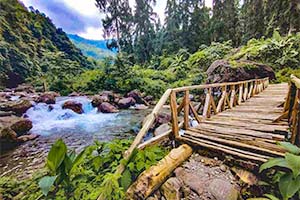 Rongo - Hidden retreat in Dooars