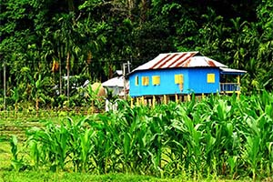 Salkumar - Nature hideout in Dooars