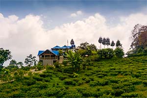 Soureni - Serene destination of Darjeeling