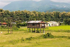 Suntalekhola - Peaceful escape in Dooars