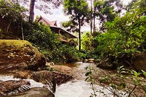 Tabakoshi - Rarely visited location in Darjeeling