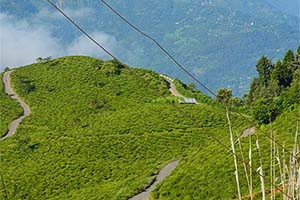 Takdah - Unexplored tourist place in Darjeeling
