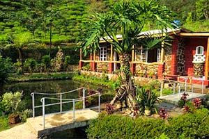 Terjum - Unknown travel spot in Darjeeling