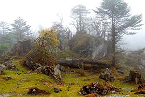 Tingchim - Serene destination of Sikkim