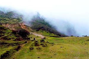 Tonglu and Tungling - Forested spot in Darjeeling