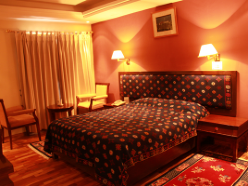 Deluxe Suite Double Non-AC Room