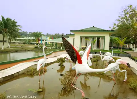 Balutot Tourism Property