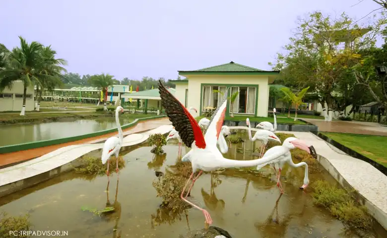 Hero image for Balutot Tourism Property
