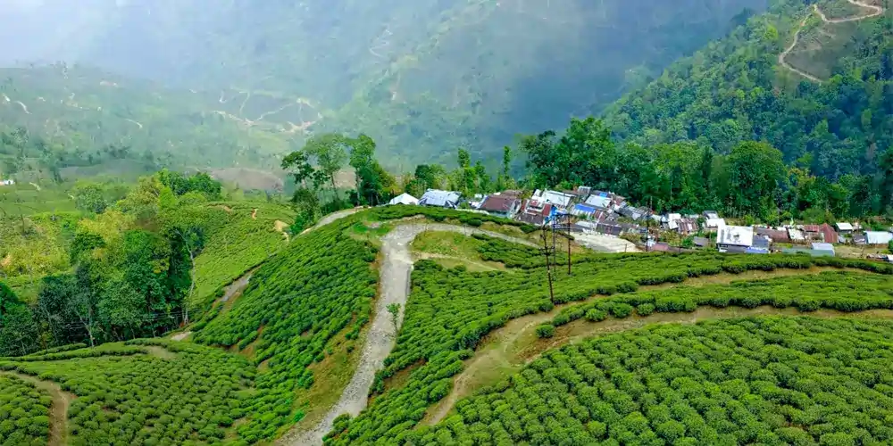 Darjeeling