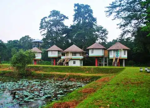 Gorumara Eco Village Kalipur
