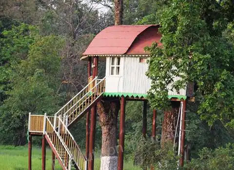 Gorumara Elephant Camp Dhupjhora
