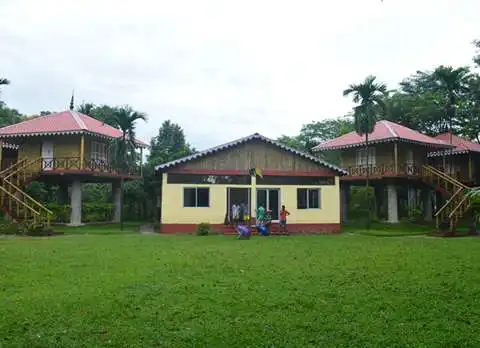 Gorumara Hornbill Nest, Bichabhanga
