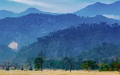 Jaldapara - Buxa - Jayanti - Rajabhatkhawa Tour Package