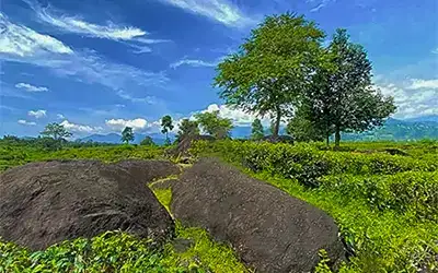 Offbeat Dooars Tour - Samsing, Suntalekhola, Jaldhaka, Jhalong, Bindu