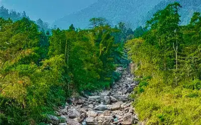 Dooars Offbeat Tour Package - Mongpong, Jhandi, Samsing, Jhalong, Bindu Tour