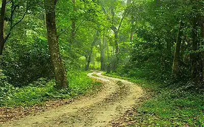 Kalipur Eco Village, Suntalekhola, Jaldapara Government Tour Package