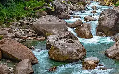Dooars Tour Package - Jaldapara, Buxa, Gorumara, Samsing, Jhalong 
