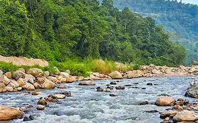 Sillery Gaon-Rishikhola-Aritar Holiday Package