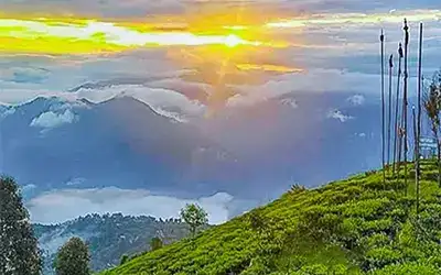 Sittong, Tinchuley, Lamahatta Tour for 6 Days