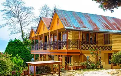 Darjeeling Lava Lolegaon Rishop Tour Package