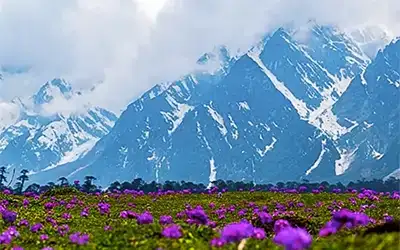 North Sikkim Tour Package 2 Night 3 Days