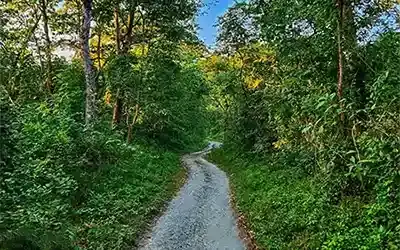 Buxa Tiger Reserve Tour Package