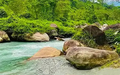 Gorumara Buxa Tour Package