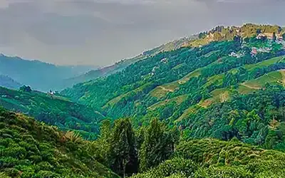 Darjeeling Tinchuley Chatakpur Lamahatta Tour Package