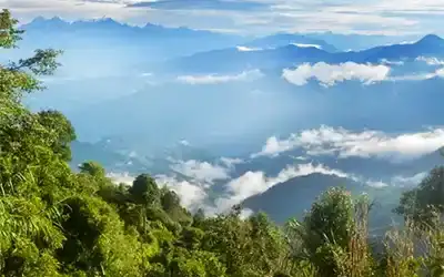 Dawaipani Darjeeling Tour 