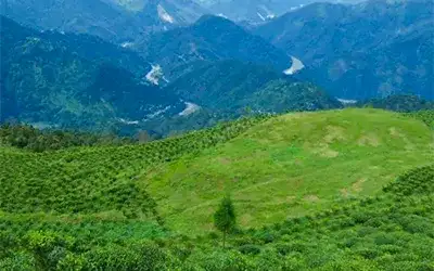 Tinchuley Sittong Dawaipani Holiday Package