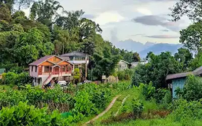 Chota Mangwa Tour Plan
