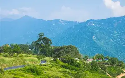 Bara Mangwa Holiday Package