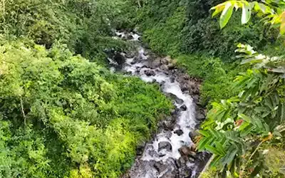 Bunkulung Dawaipani Sittong Tour Package