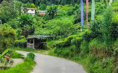 Rangli Rangliot Tour Package