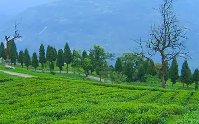 Offbeat Sikkim Delight