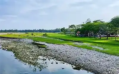 Dooars Forest & Hills Retreat