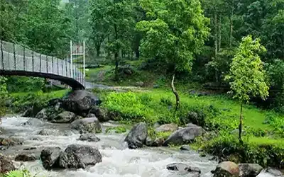 Himalayan Foothills & Tea Gardens