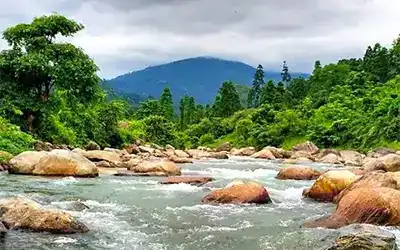 Wildlife & Tea Garden Retreat