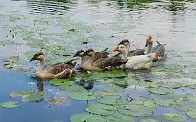 Wildlife & Heritage Bliss