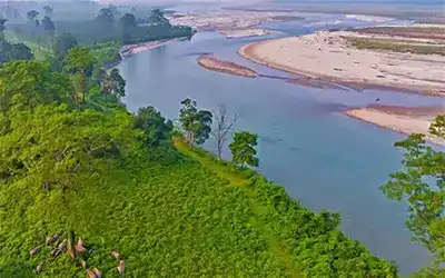 Best of Dooars Jungle Safari