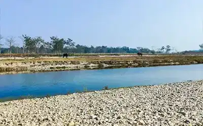 Dooars Hills & Wildlife Delight