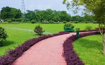 Majestic Dooars Expedition