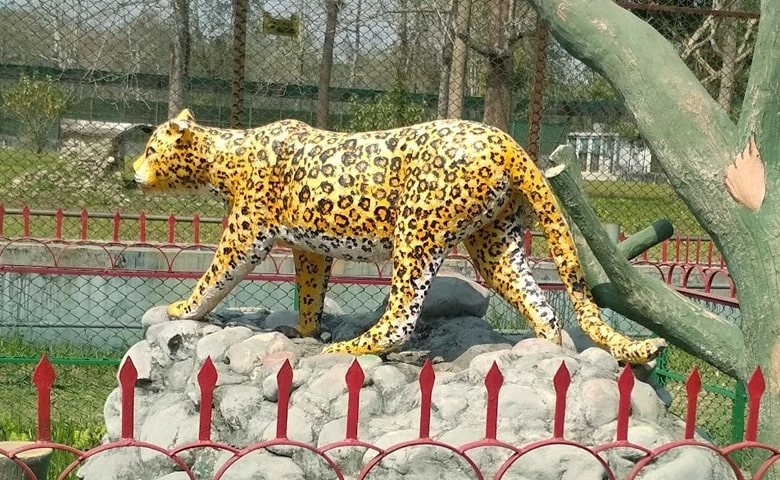 Hero image for Rasikbil Eco Resort