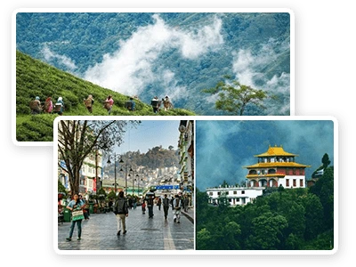 Tour Package Service