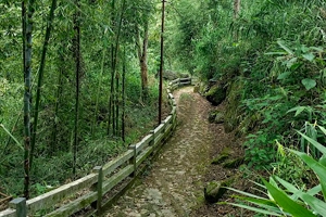 Sidrapong - Quiet getaway in Darjeeling